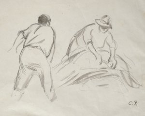 Studi di un mietitore maschio e femmina